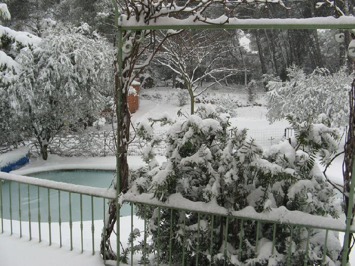 2009-01 003.JPG